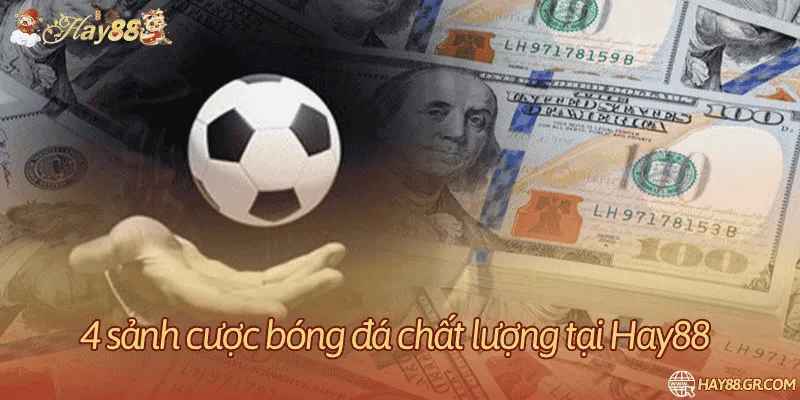 Chi tiết 4 sảnh bóng đá hiện đại uy tín