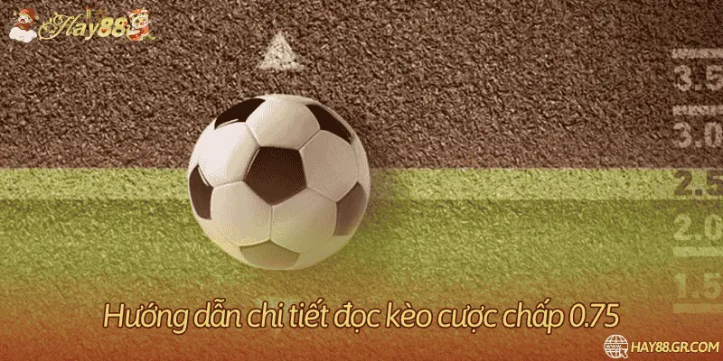 Tổng hợp phương pháp dự đoán kèo bóng đá 0.75 siêu chuẩn